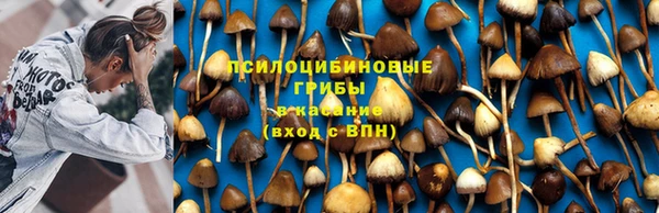 а пвп мука Володарск