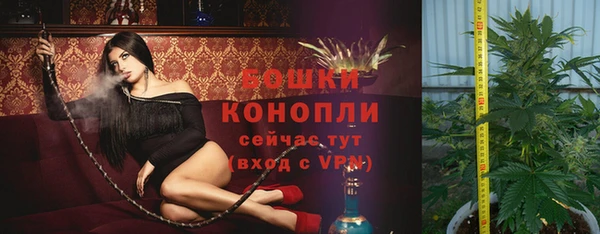 стафф Волосово
