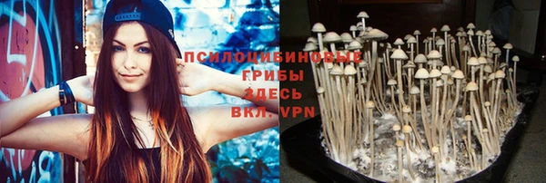прущий лед Пролетарск
