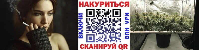Марихуана сатива  MEGA ссылка  Муром  где купить наркоту 